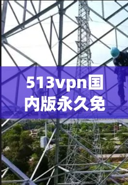 513vpn国内版永久免费使用,解决网络问题的可靠选择 513vpn国内版永久免费使用,解决网络问题的可靠选择