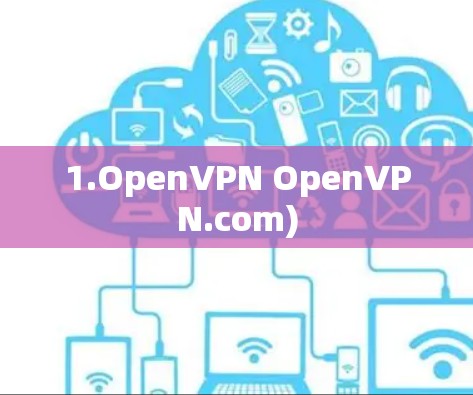 1.OpenVPN OpenVPN.com)