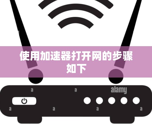 使用加速器打开网的步骤如下 使用加速器打开网的步骤如下