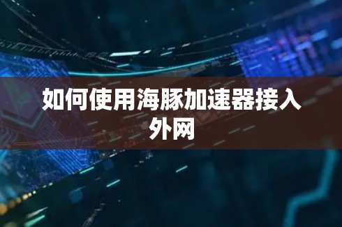 如何使用海豚加速器接入外网