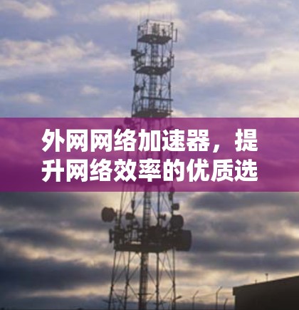 外网网络加速器，提升网络效率的优质选择