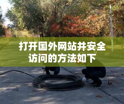 打开国外网站并安全访问的方法如下