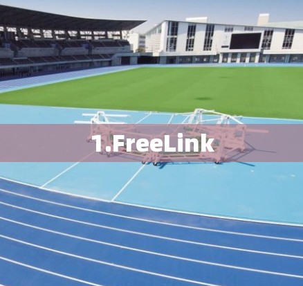 1.FreeLink