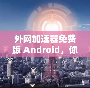 外网加速器免费版 Android，你的选择？还是换个更专业的版本？