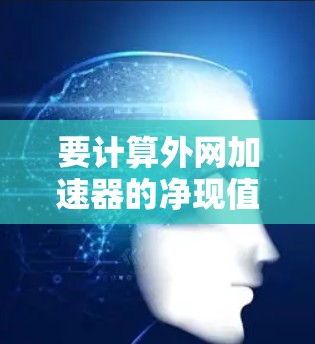 要计算外网加速器的净现值（NPV）需要考虑以下步骤