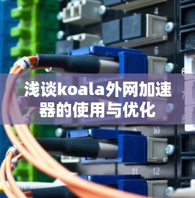 浅谈koala外网加速器的使用与优化