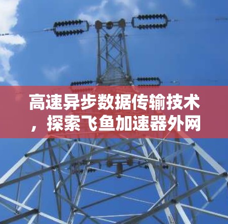 高速异步数据传输技术，探索飞鱼加速器外网的未来