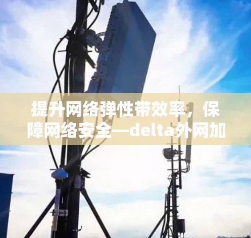 提升网络弹性带效率，保障网络安全—delta外网加速器全面解析