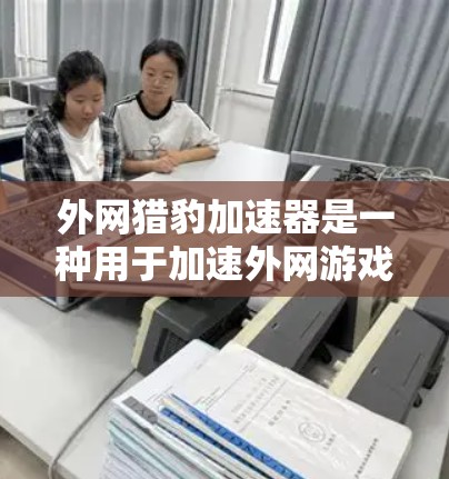 外网猎豹加速器是一种用于加速外网游戏的工具，可以在网页上下载或连接到服务器。以下是使用外网猎豹加速器的步骤指南