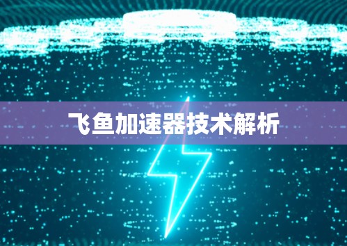 飞鱼加速器技术解析