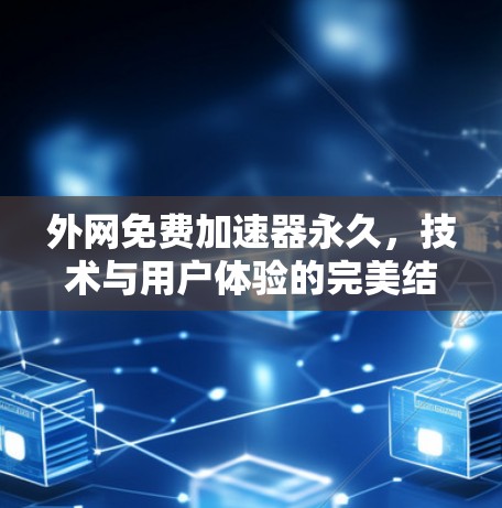 外网免费加速器永久，技术与用户体验的完美结合