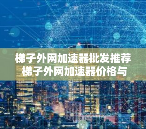 梯子外网加速器批发推荐 梯子外网加速器价格与质量对比