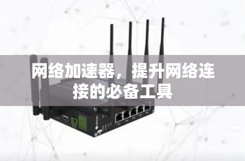 网络加速器，提升网络连接的必备工具