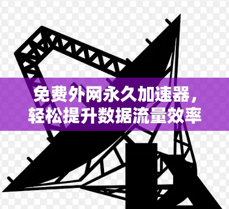免费外网永久加速器，轻松提升数据流量效率的解决方案