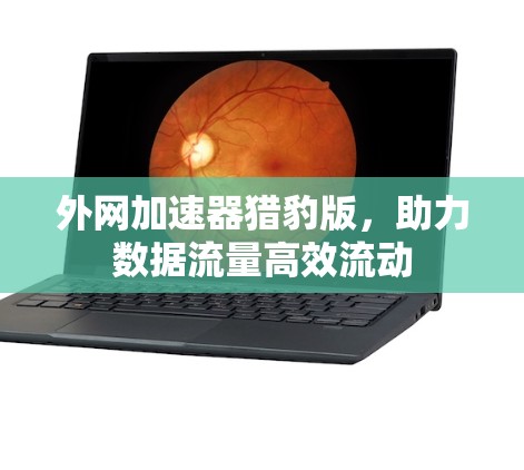 外网加速器猎豹版，助力数据流量高效流动