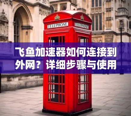 飞鱼加速器如何连接到外网？详细步骤与使用技巧