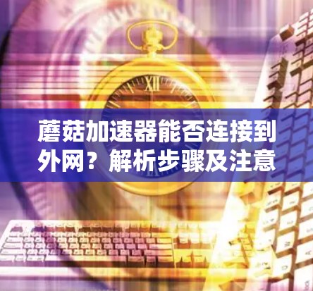 蘑菇加速器能否连接到外网？解析步骤及注意事项