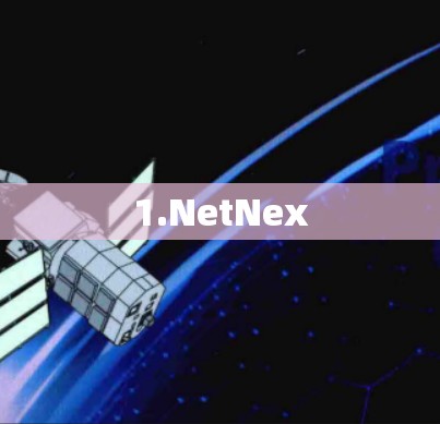 1.NetNex