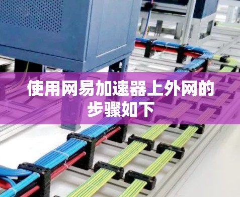 使用网易加速器上外网的步骤如下