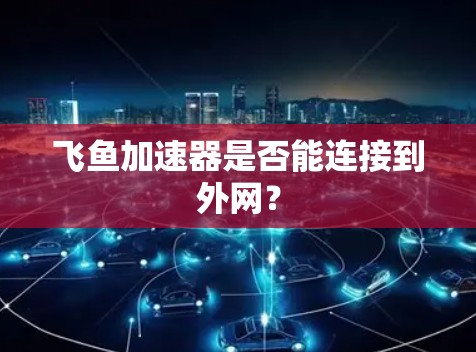 飞鱼加速器是否能连接到外网？