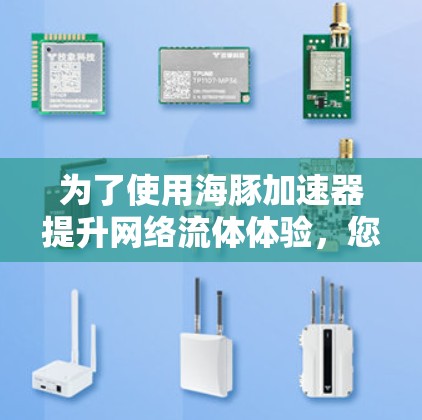 为了使用海豚加速器提升网络流体体验，您可以按照以下步骤进行
