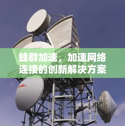 蜂群加速，加速网络连接的创新解决方案