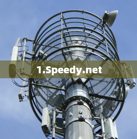1.Speedy.net
