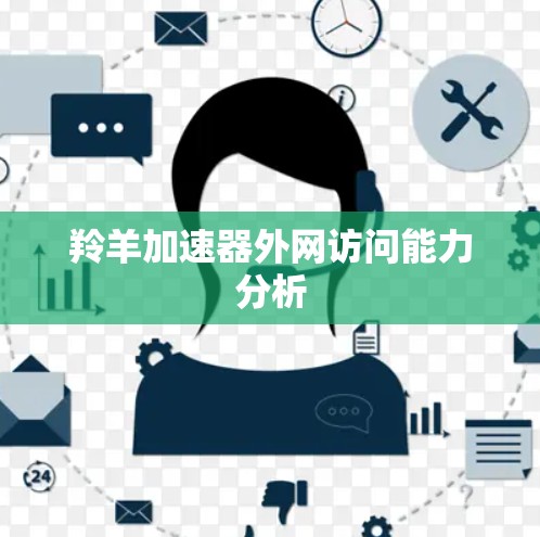 羚羊加速器外网访问能力分析
