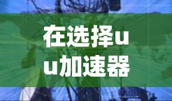 在选择uu加速器和外网加速器时，首先要明确自己的需求和预算。以下是对这两种工具的系统性分析，帮助您做出最佳选择