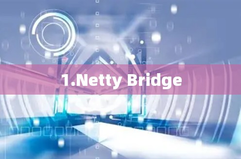 1.Netty Bridge