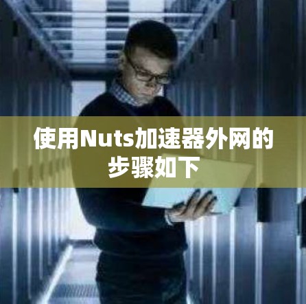 使用Nuts加速器外网的步骤如下