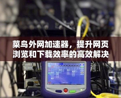 菜鸟外网加速器，提升网页浏览和下载效率的高效解决方案