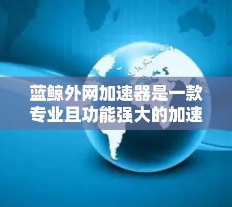 蓝鲸外网加速器是一款专业且功能强大的加速软件，主要面向需要快速下载资源的用户。以下是关于该工具的详细信息