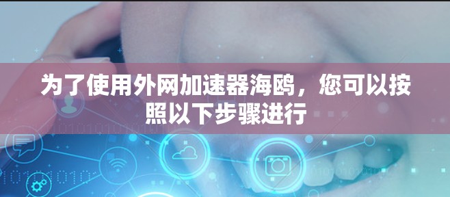 为了使用外网加速器海鸥，您可以按照以下步骤进行