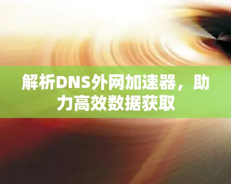 解析DNS外网加速器，助力高效数据获取