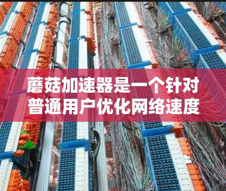 蘑菇加速器是一个针对普通用户优化网络速度的工具，通常包括本地加速和国际加速功能。如果您想使用蘑菇加速器并连接国际网速，可以按照以下步骤操作