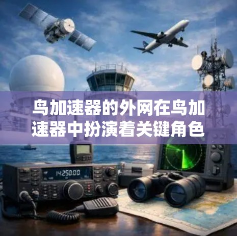 鸟加速器的外网在鸟加速器中扮演着关键角色，以下是其主要功能和考虑因素
