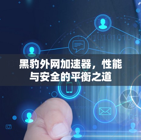 黑豹外网加速器，性能与安全的平衡之道