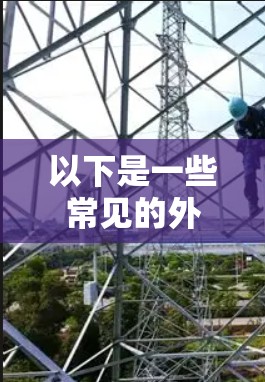 以下是一些常见的外网颤音加速器推荐