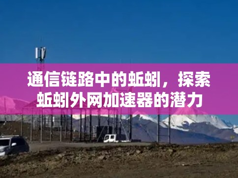 通信链路中的蚯蚓，探索蚯蚓外网加速器的潜力