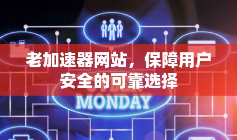 老加速器网站，保障用户安全的可靠选择
