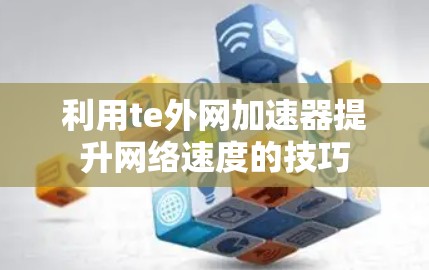 利用te外网加速器提升网络速度的技巧