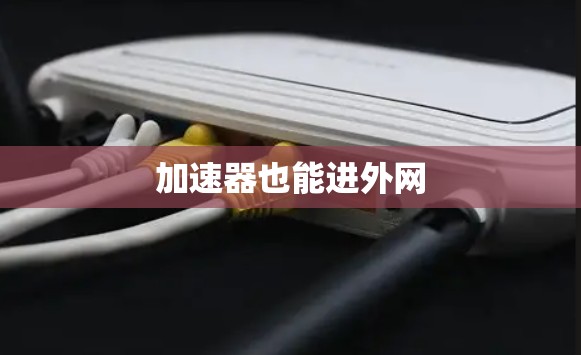 加速器也能进外网