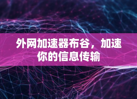 外网加速器布谷，加速你的信息传输