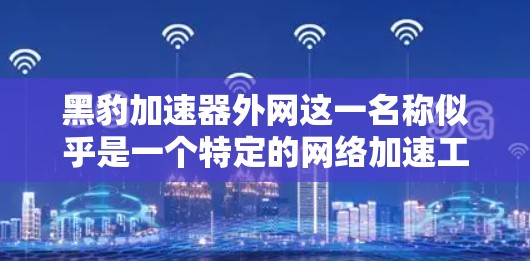 黑豹加速器外网这一名称似乎是一个特定的网络加速工具或平台，可能是指某种特定的加速器或软件。以下是对该工具的详细分析