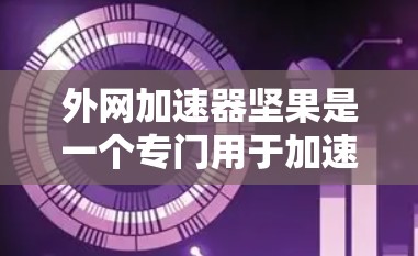 外网加速器坚果是一个专门用于加速下载网站的工具，通过分解文件、加密下载和自动管理下载流程来提升下载效率。以下是关于它的详细信息