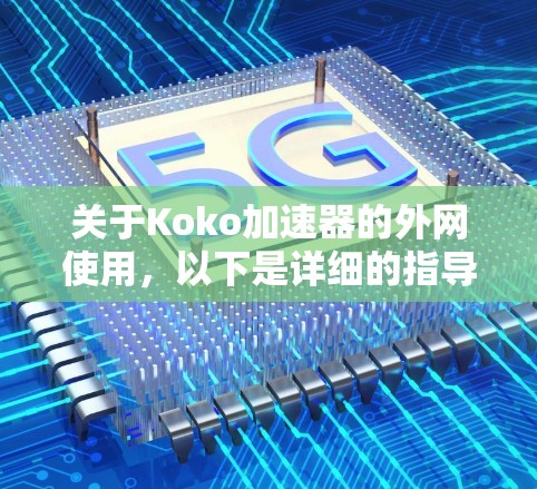关于Koko加速器的外网使用，以下是详细的指导