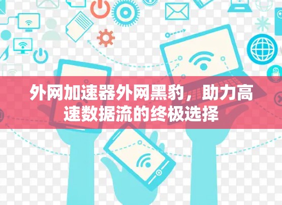 外网加速器外网黑豹，助力高速数据流的终极选择