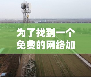 为了找到一个免费的网络加速器，以下是一步步的建议