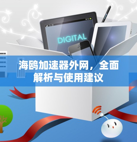 海鸥加速器外网，全面解析与使用建议